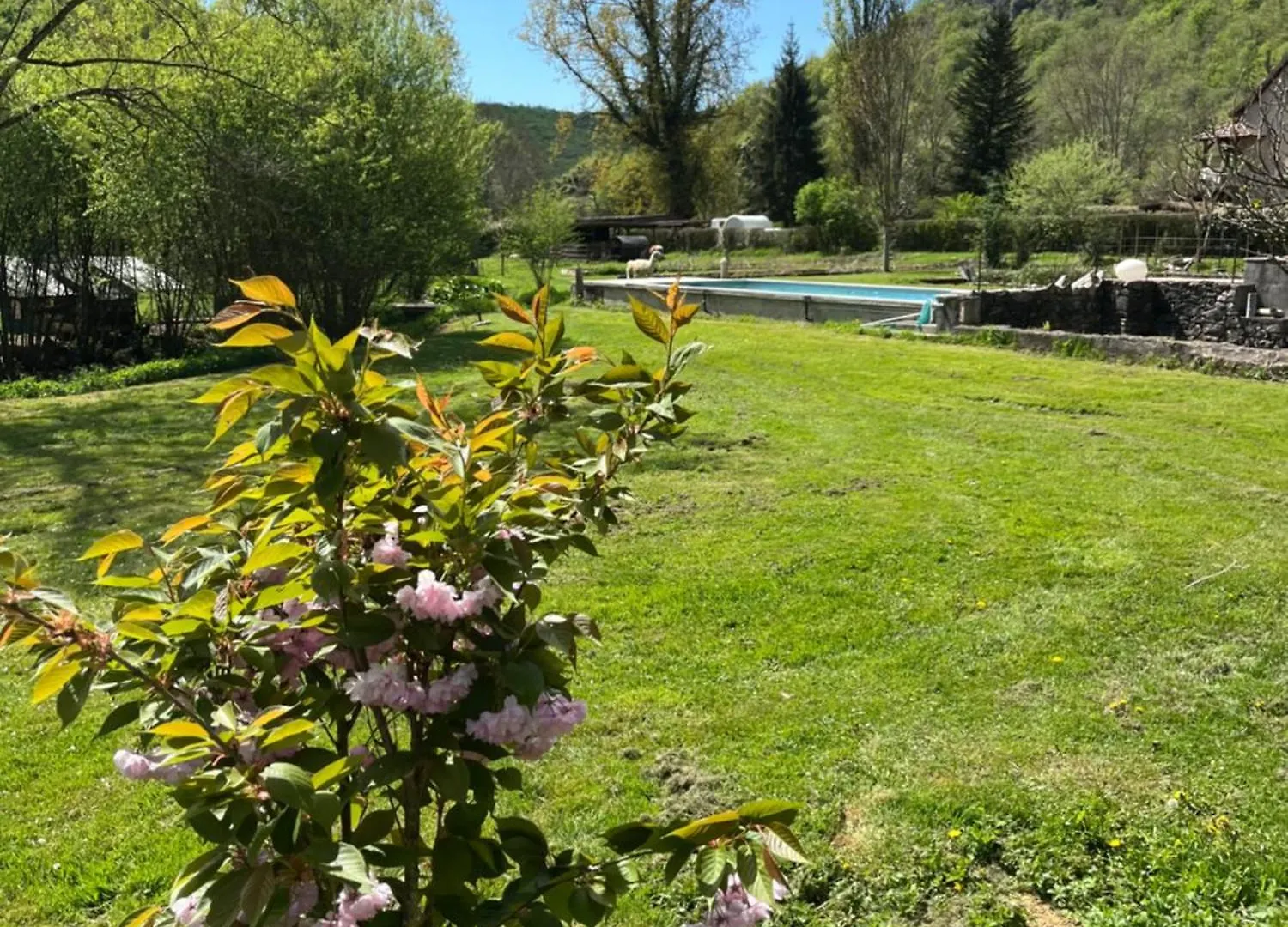 Holiday home Les Pieds Dans L'Eau, Gite Le Blagour Lachapelle-Auzac France